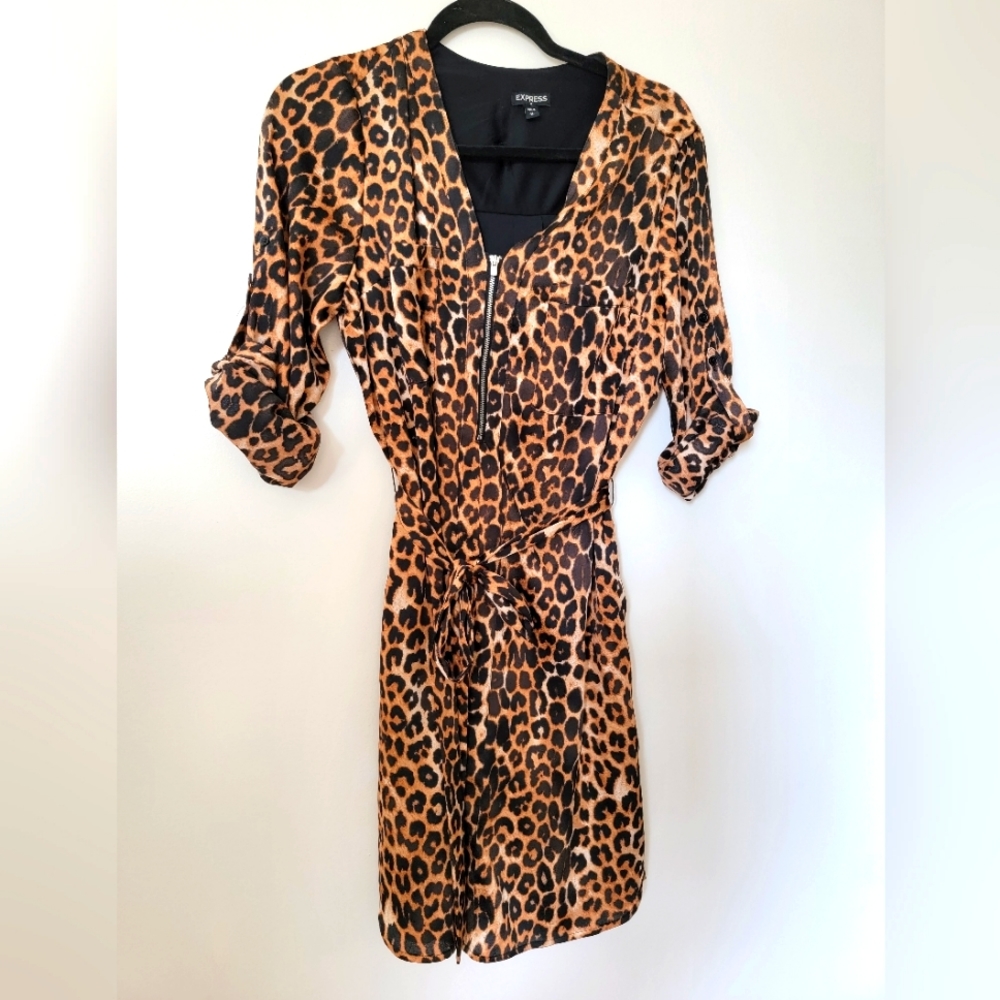 Express Cheetah Dress